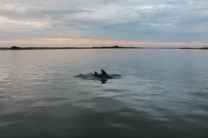 a large body of water