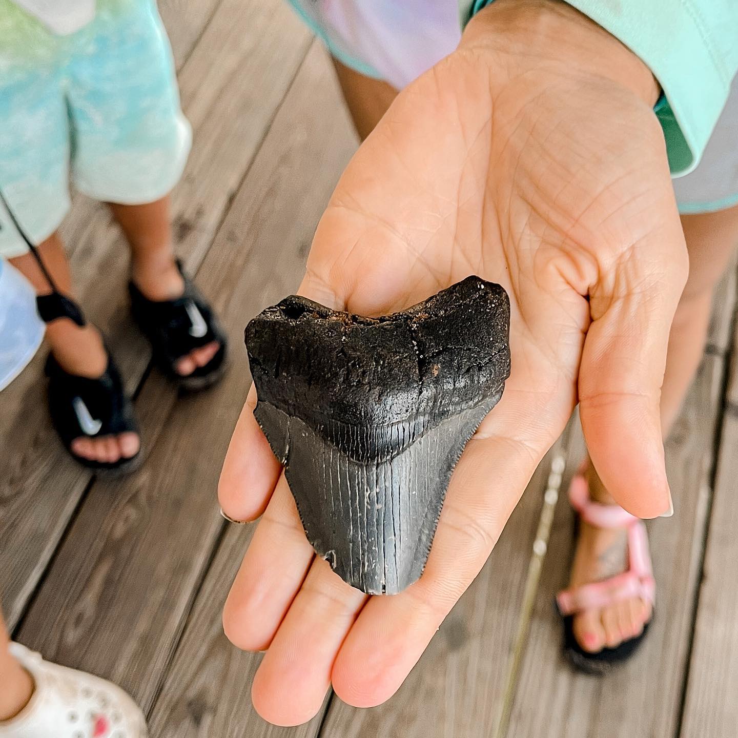Public Shark Tooth Excursion in Savannah, GA | Bull River Marina