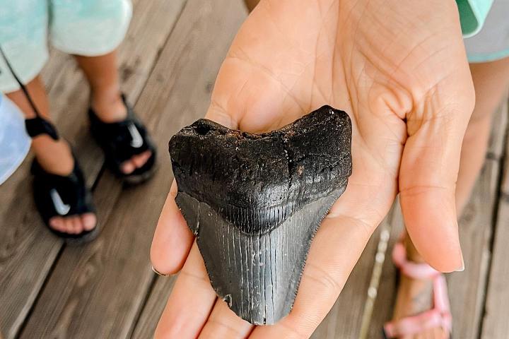 a hand holding a baby