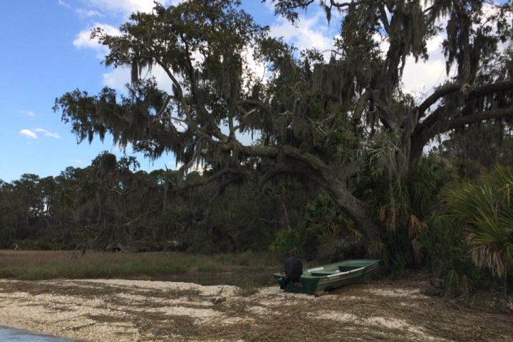 a man standing next to a tree