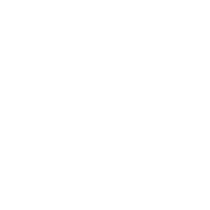 fuel icon