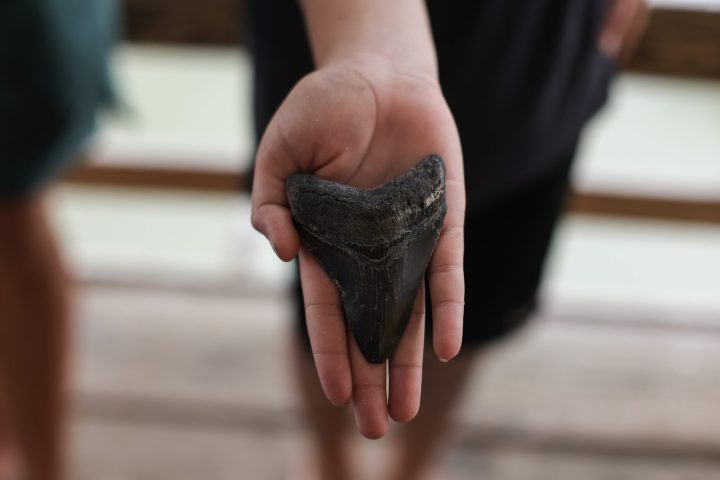 a close up of a hand