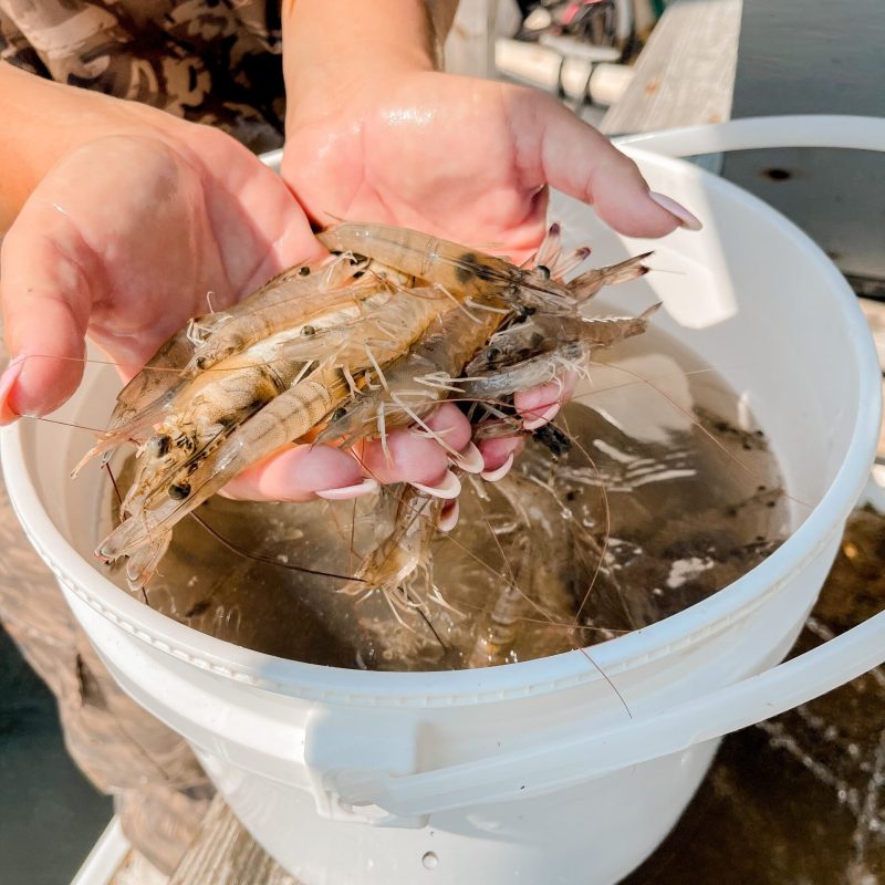 a woman holding a plate of food