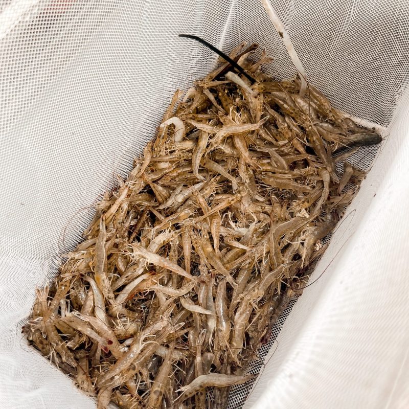 a close up of a basket