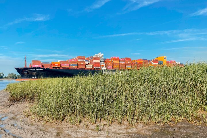 a train traveling down a dirt road